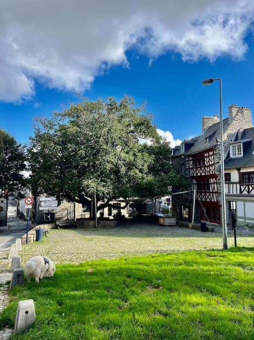 Le Cottage Breton, Hypercentre Historique Stb Сен-Бріє Екстер'єр фото